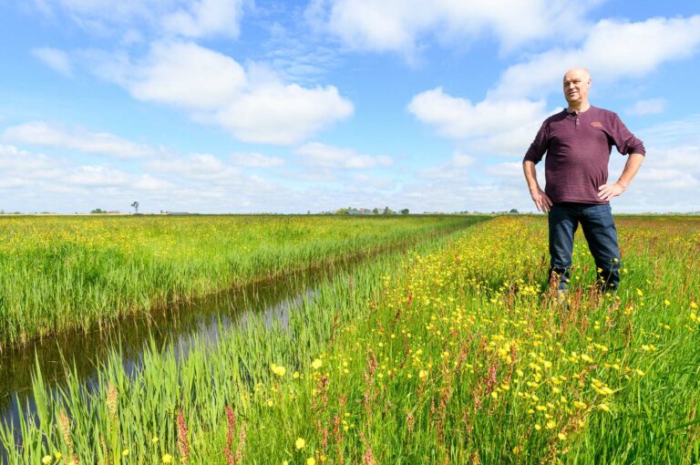 Farmer in his meadow, with many wild flowers