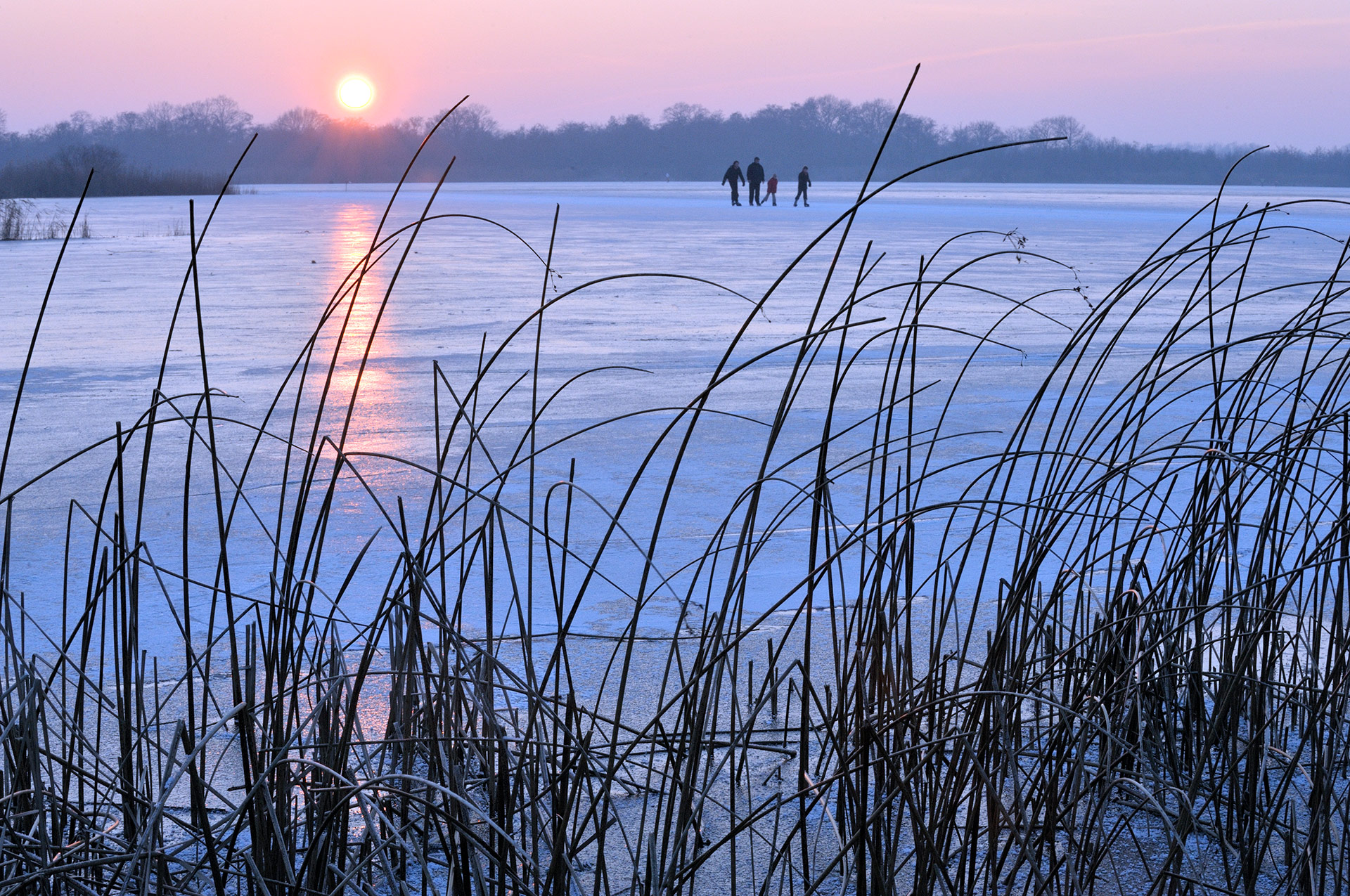 A family of ice skaters on the Ankeveense Plassen at sunset