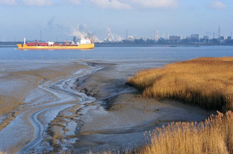 Schelde met schip bij Antwerpen en Saeftinghe