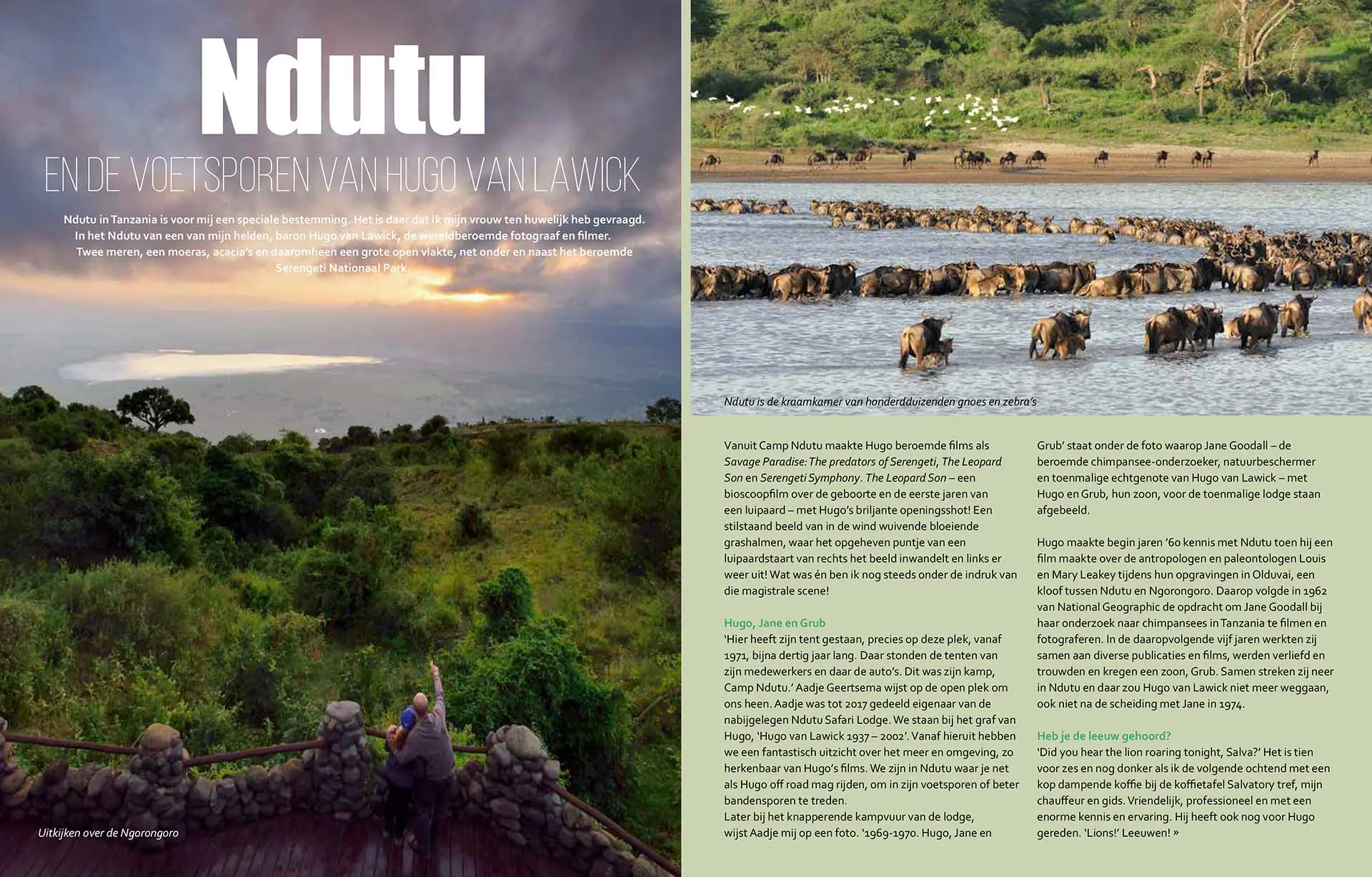 Publicatie van reportage over Ndutu, Serengeti, Tanzania, in Ontdek Safari Afrika. Tekst en fotografie: Martin van Lokven.