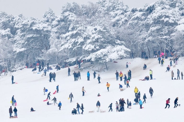 Snow and sledge fun at Lange Duinen