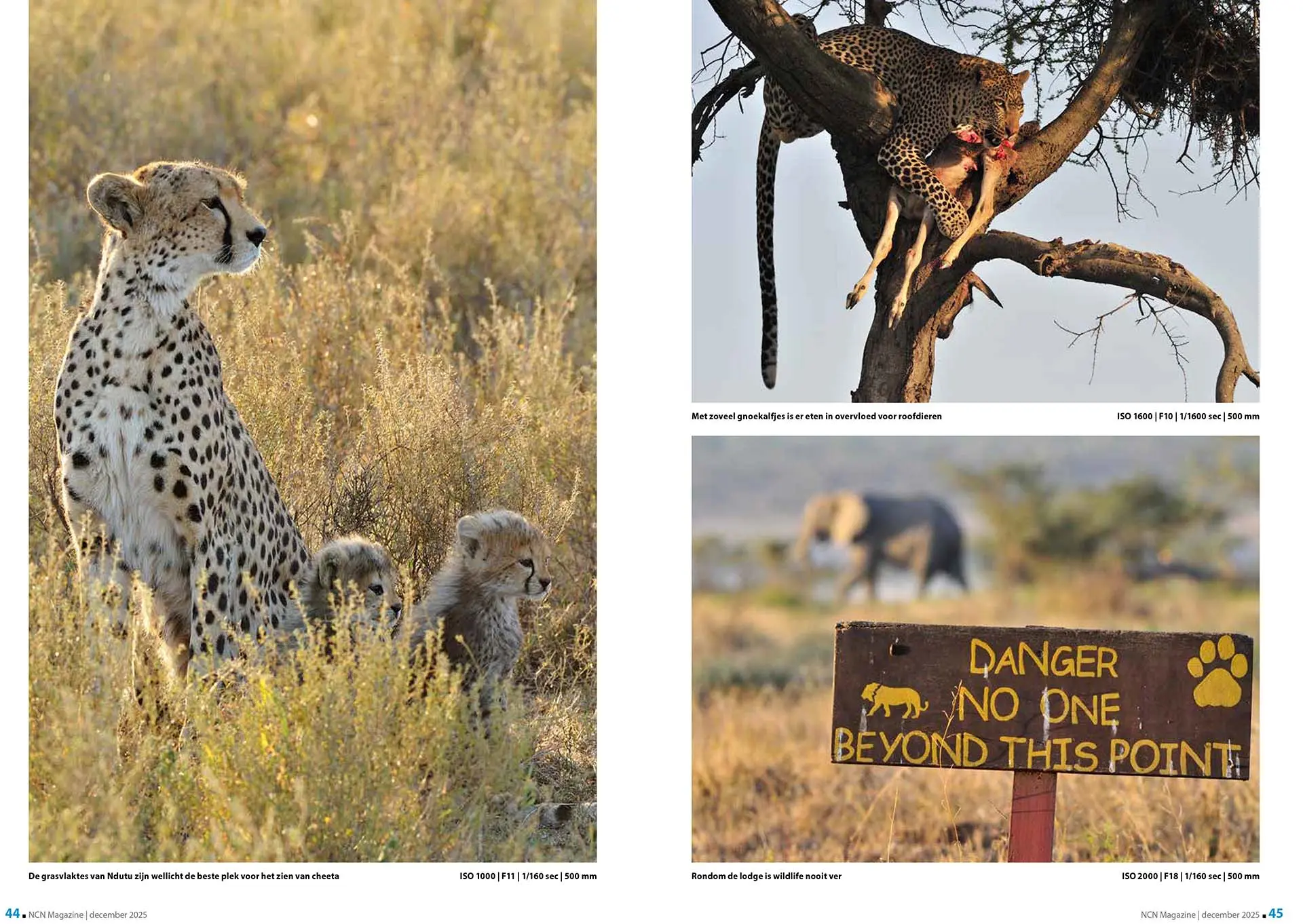 Artikel over wildlife in Tanzania, in Nikon Club Nederland Magazine december 2025. Tekst en fotografie: Martin van Lokven.