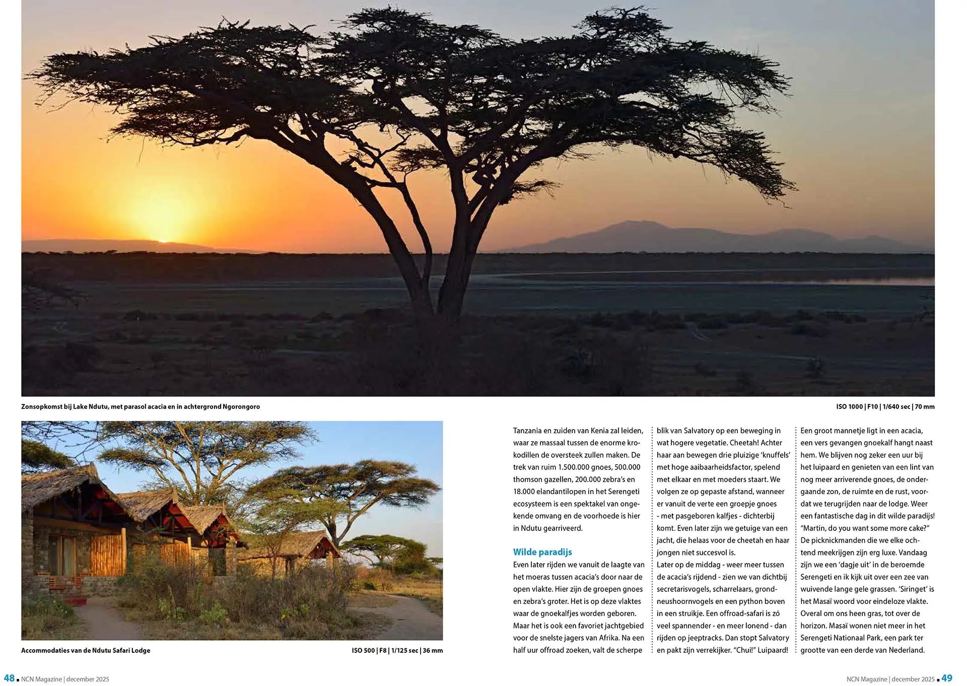 Artikel over wildlife in Tanzania, in Nikon Club Nederland Magazine december 2025. Tekst en fotografie: Martin van Lokven.