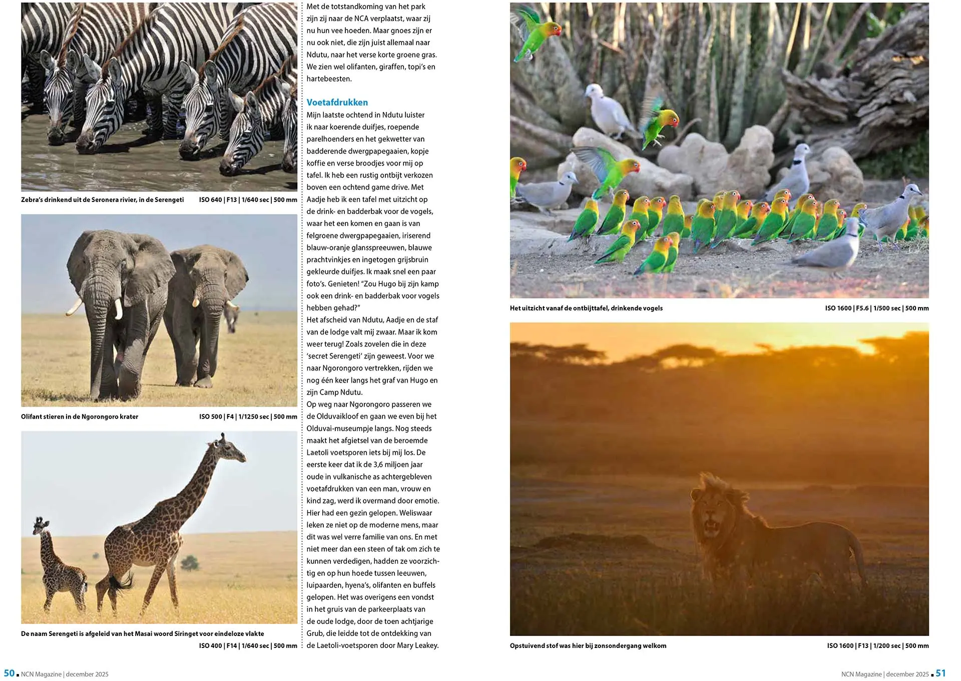 Artikel over wildlife in Tanzania, in Nikon Club Nederland Magazine december 2025. Tekst en fotografie: Martin van Lokven.