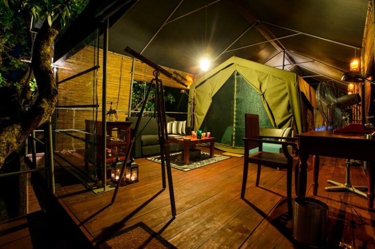 Luxe jungle tent