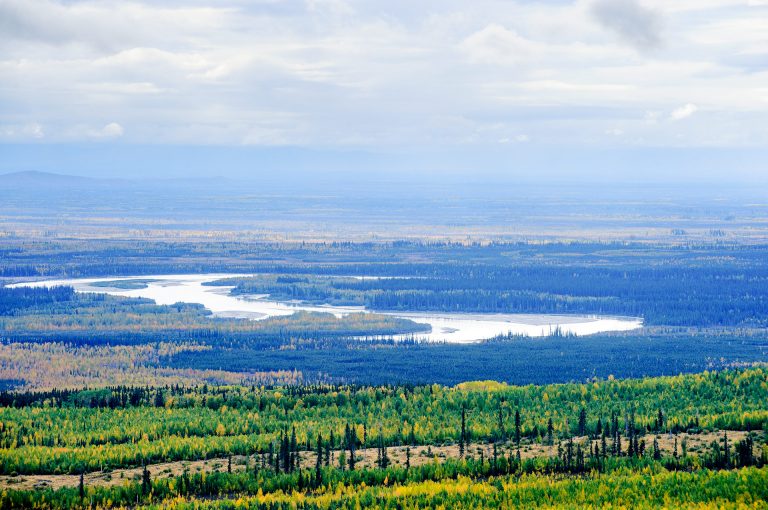 River in interior Alaska