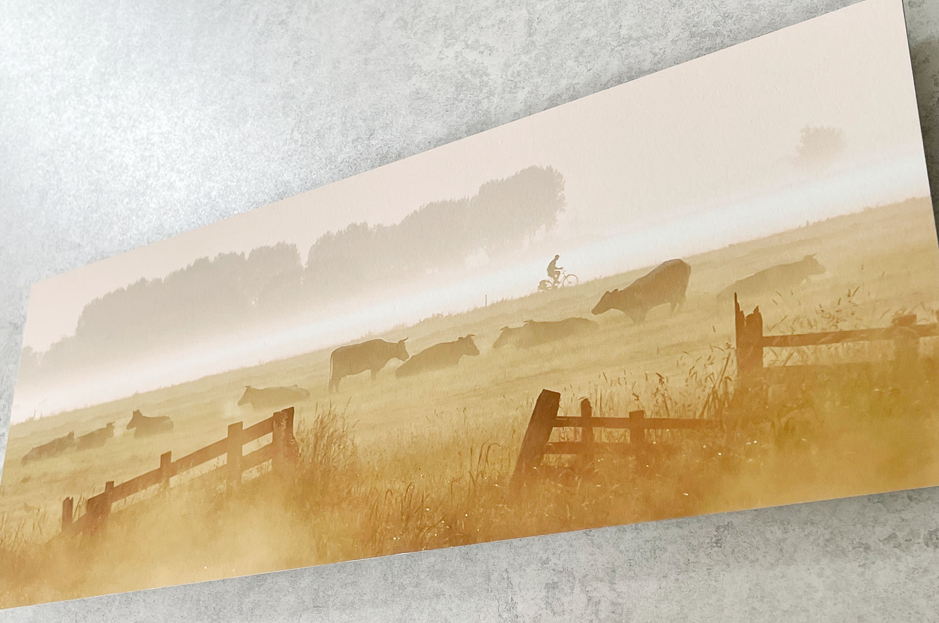 Alblasserwaard print