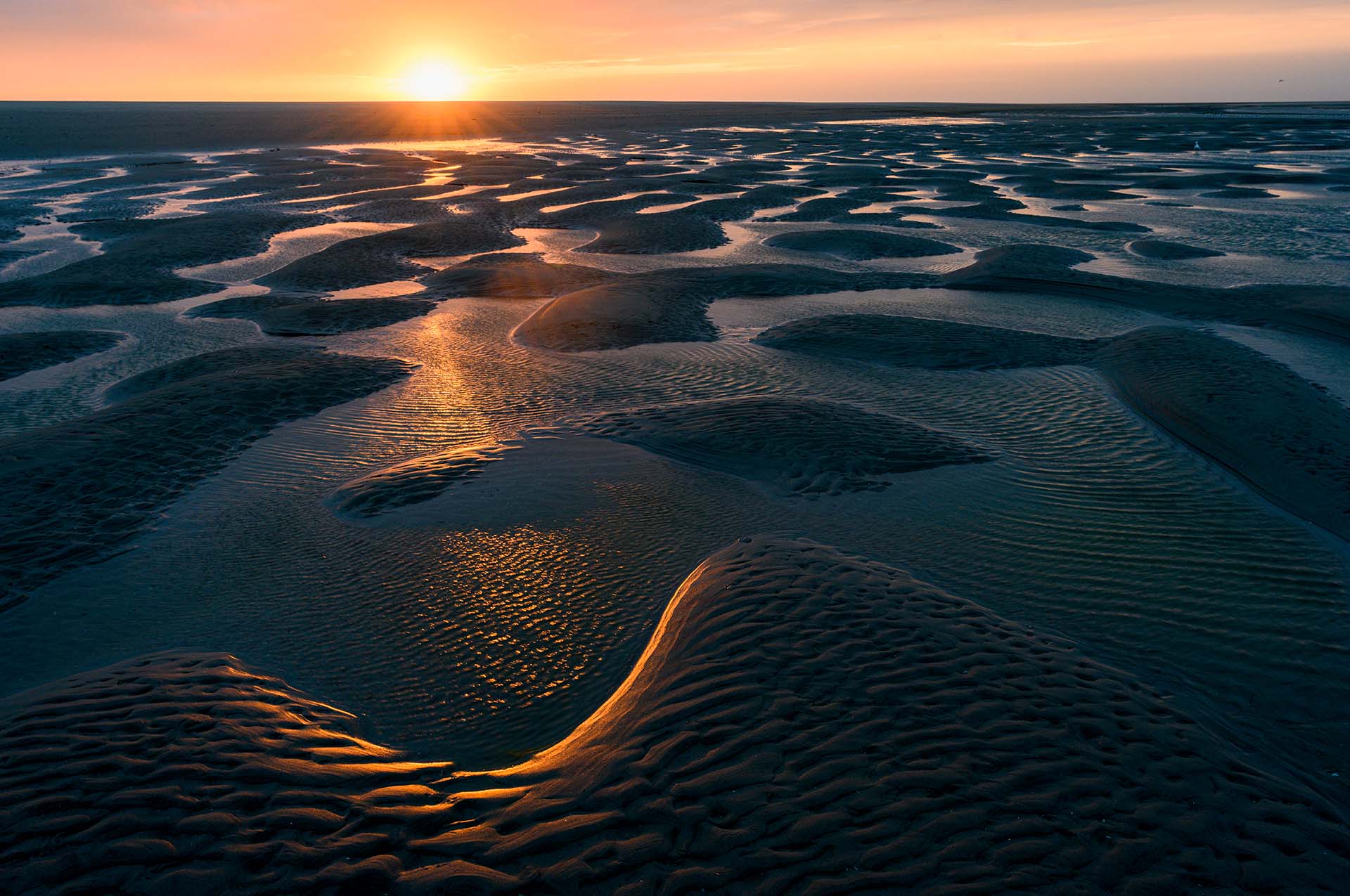 Golden light hits a ridge on a beach on Ameland island