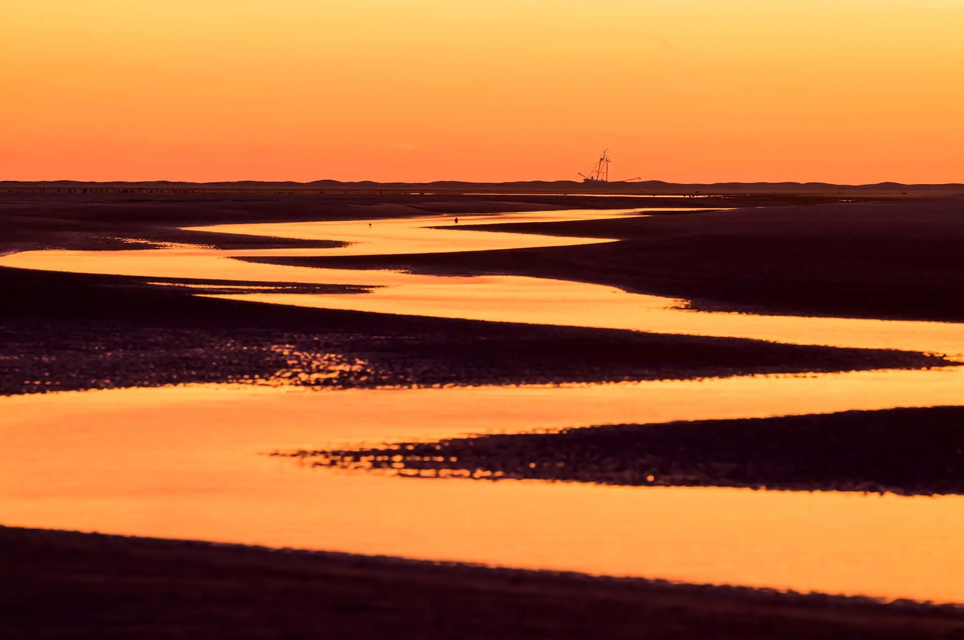 Strandgeul op strand bij zonsondergang.