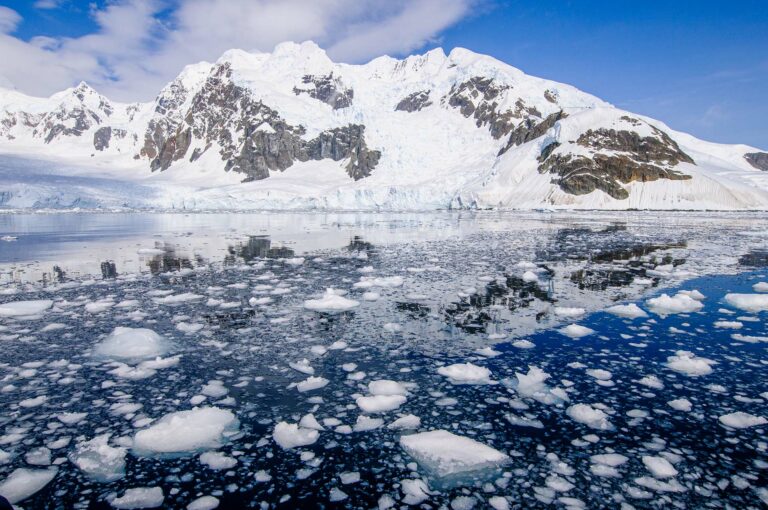 Floating ice and coastline with snow and ice.