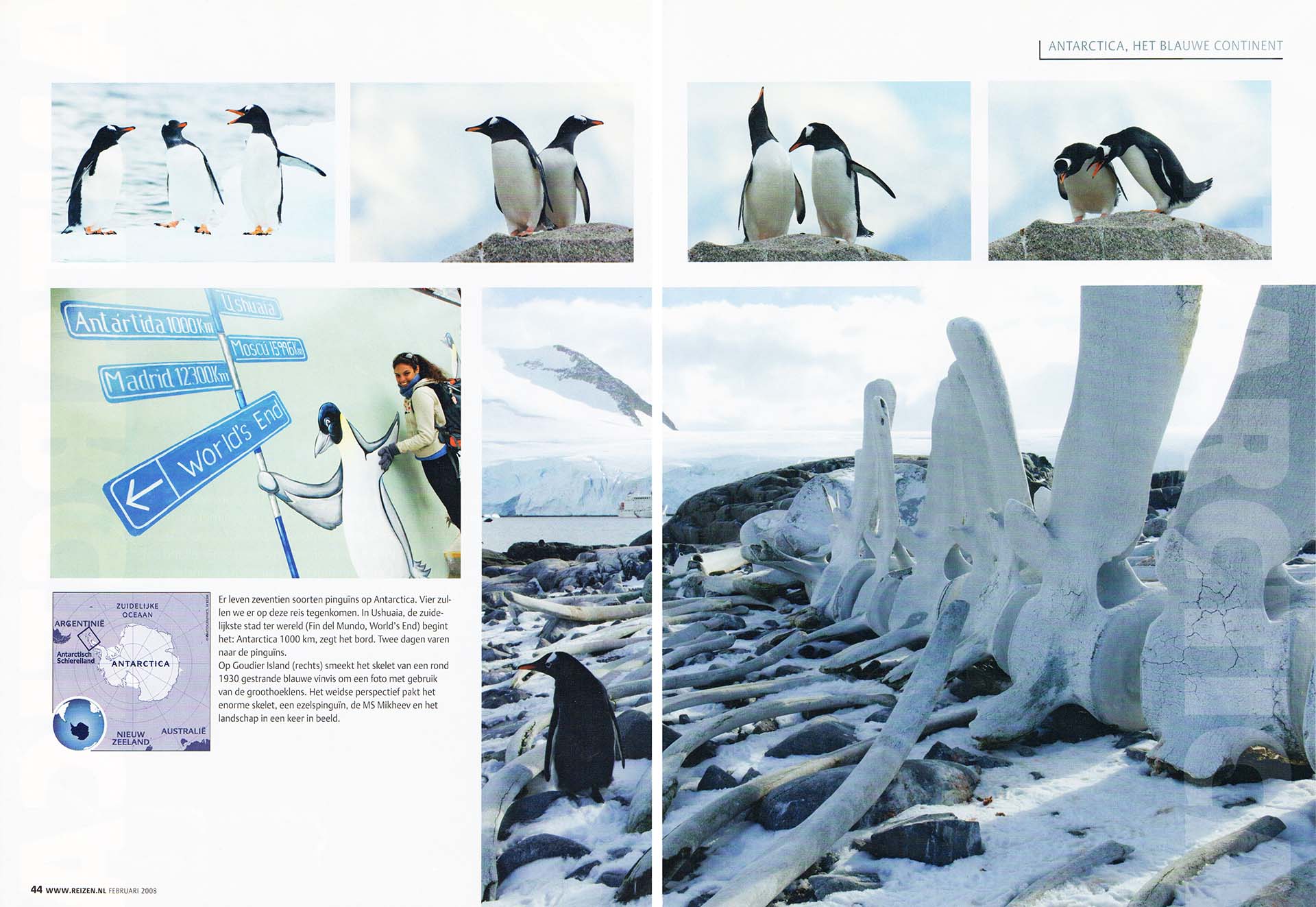 Een pagna uit een publicatie over een lezeresreis. Met foto's van ezelspinguïns.