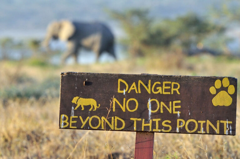 A sign with the text danger no one beyond this point warns to be aware of wild animals