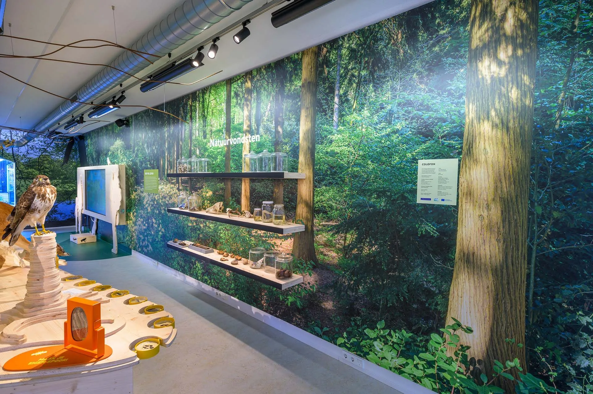 Muurbehang in Bezoekerscentrum