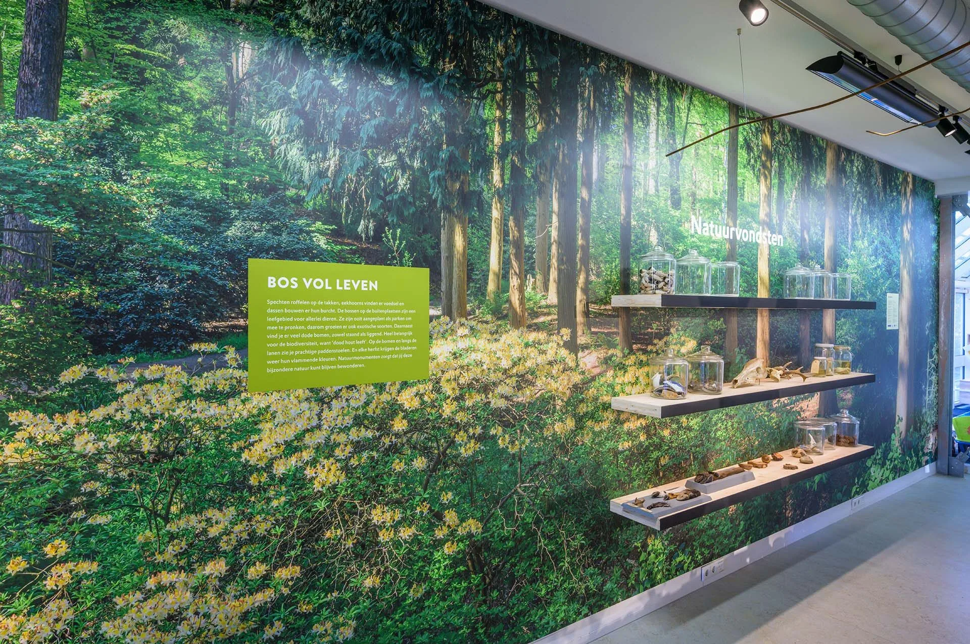 Muurbehang in Bezoekerscentrum