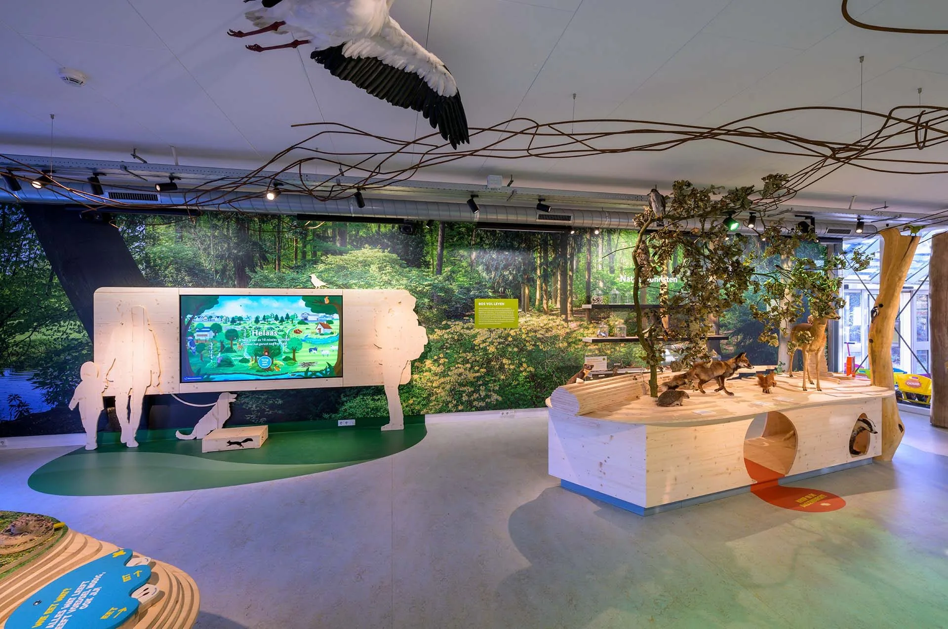 Muurbehang in Bezoekerscentrum