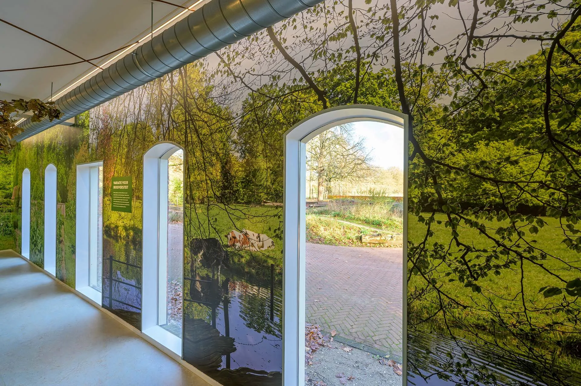 Muurbehang in Bezoekerscentrum