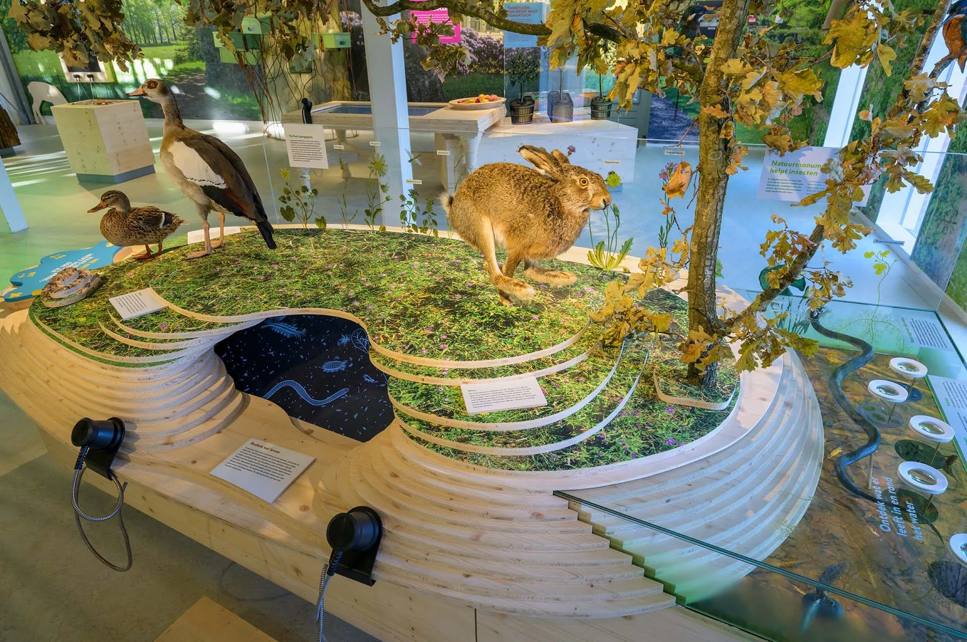 Diorama in Bezoekerscentrum
