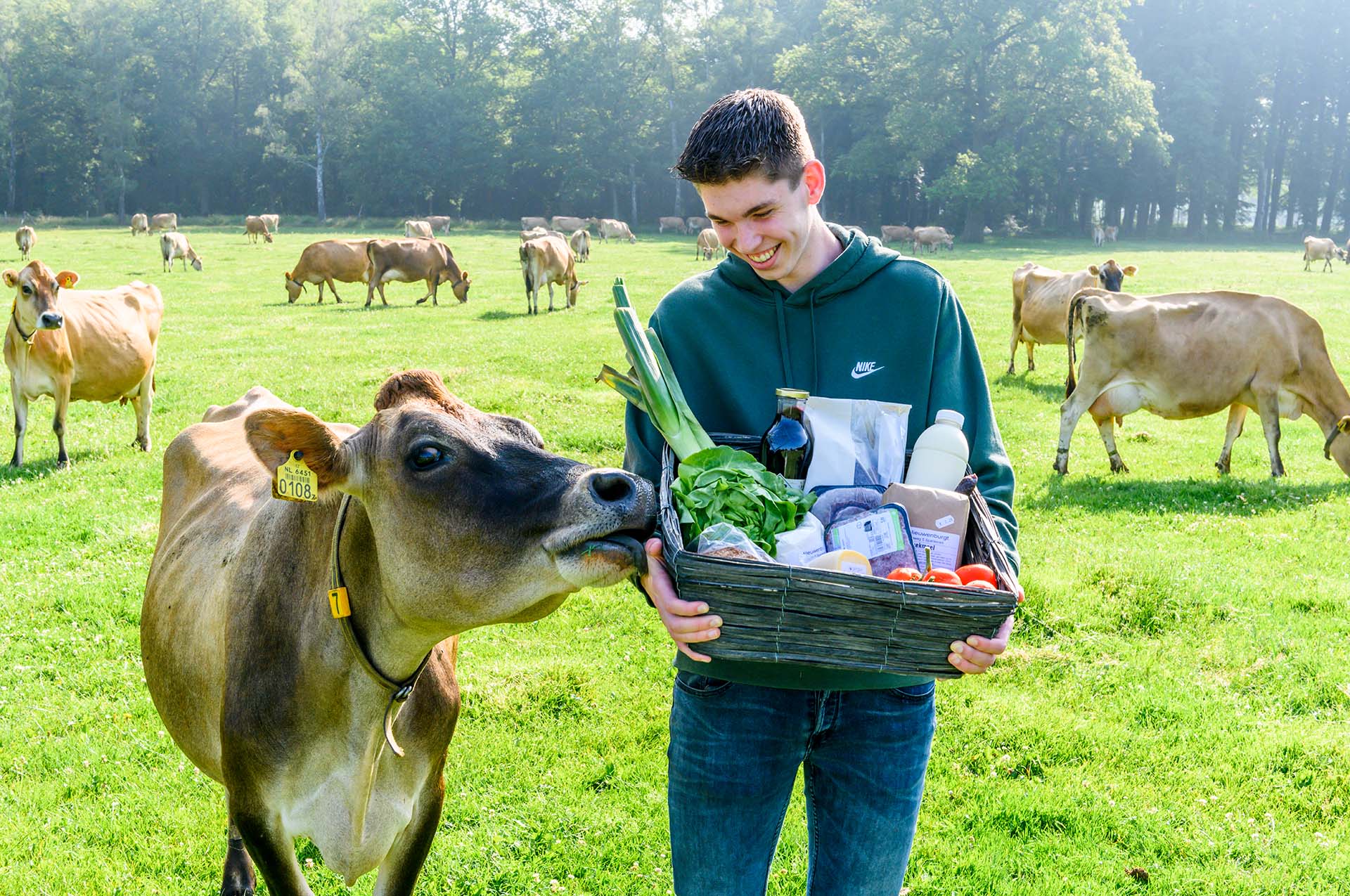 A cow touches the hand of the son of the family Nieuwenburg holding biological products. The family are the owners of the biological farm shop De Nieuwenburgt