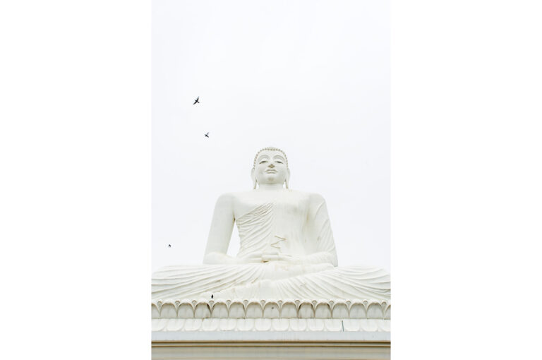 Boeddha beeld met maina's in Sri Lanka.