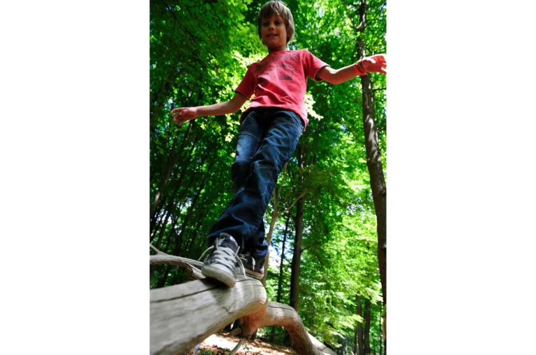 Boy walks over tree trunk