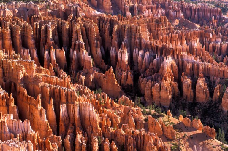 Hoodoos at sunrise in Bryce Canyon National Park