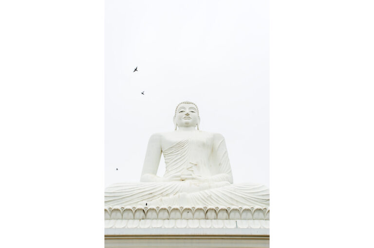 Buddha statue in Sri Lanka, with some birds, common myna.