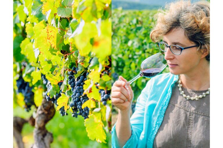 Grapes hanging in vineyard and a woman smelling a wine.
