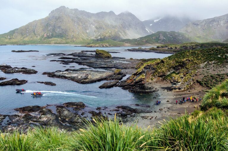 Landschap op South Georgia met Zodiacs en toeristen op strand,