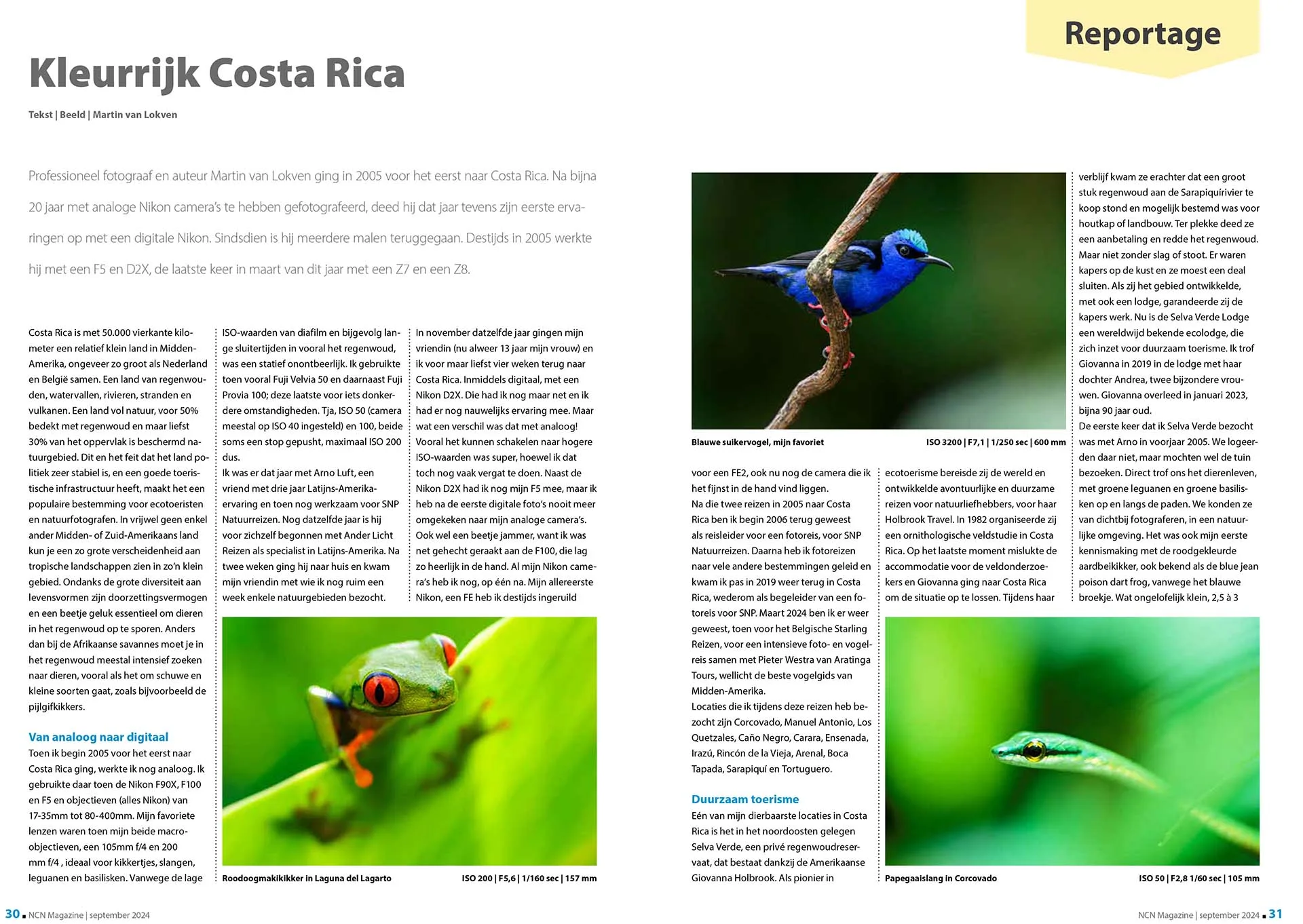 Roodoogboomkikker, vogeltje en slang in tijdschrift.