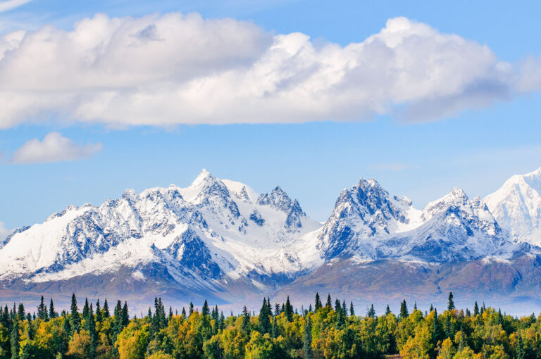 Zicht op Denali berg massief