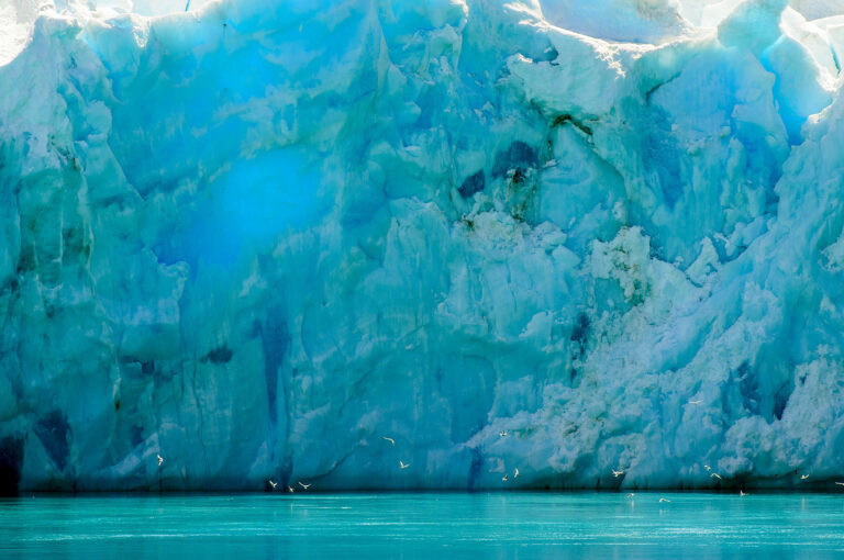 Blue ice of glacier on South Georgia island