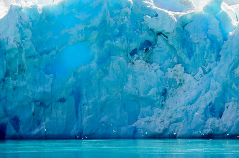 Drygalski Fjord gletsjer