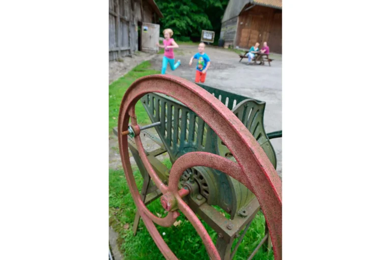 Children playing at farm
