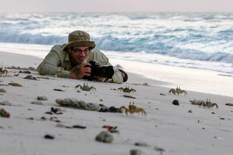 Photographer on beach with crabs