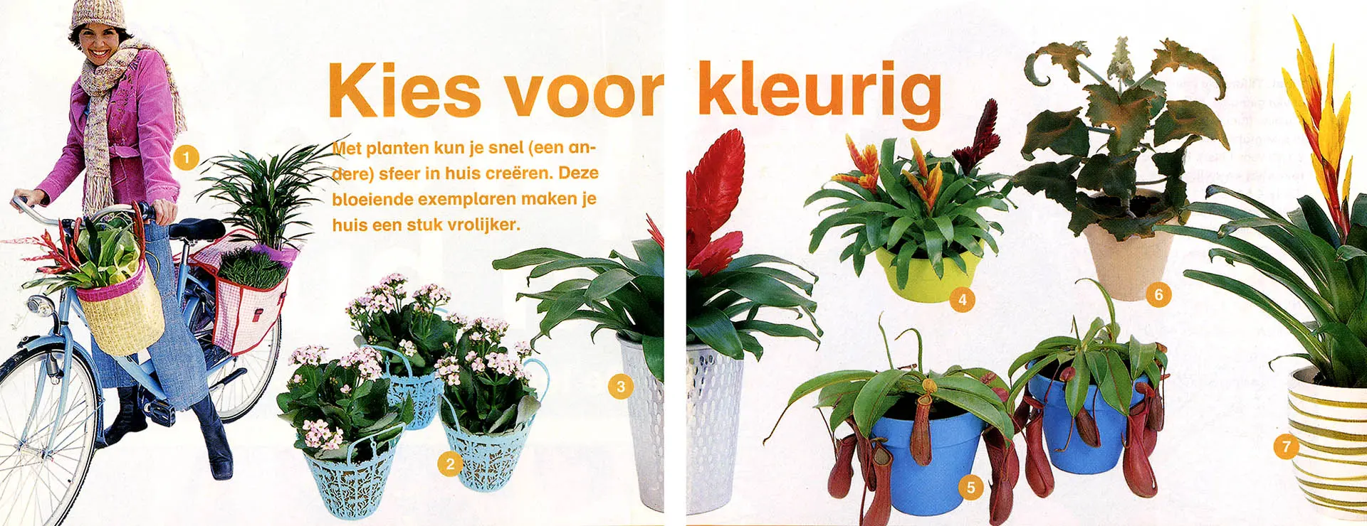 Model en kamerplanten in bijlage Flair magazine.