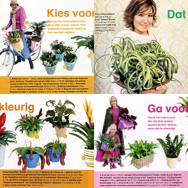 Modellen en kamerplanten in bijlage Flair magazine.