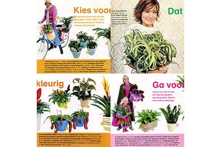 Modellen en kamerplanten in bijlage Flair magazine.