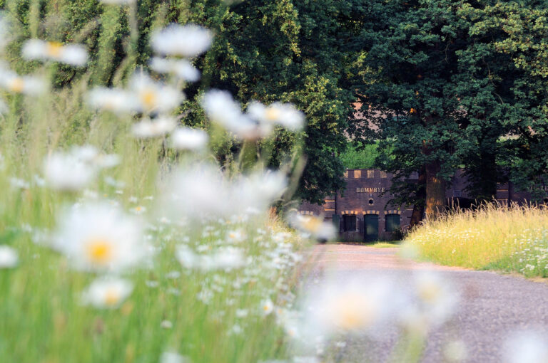 Bloemen weelde in het Fort bij Rijnauwen.