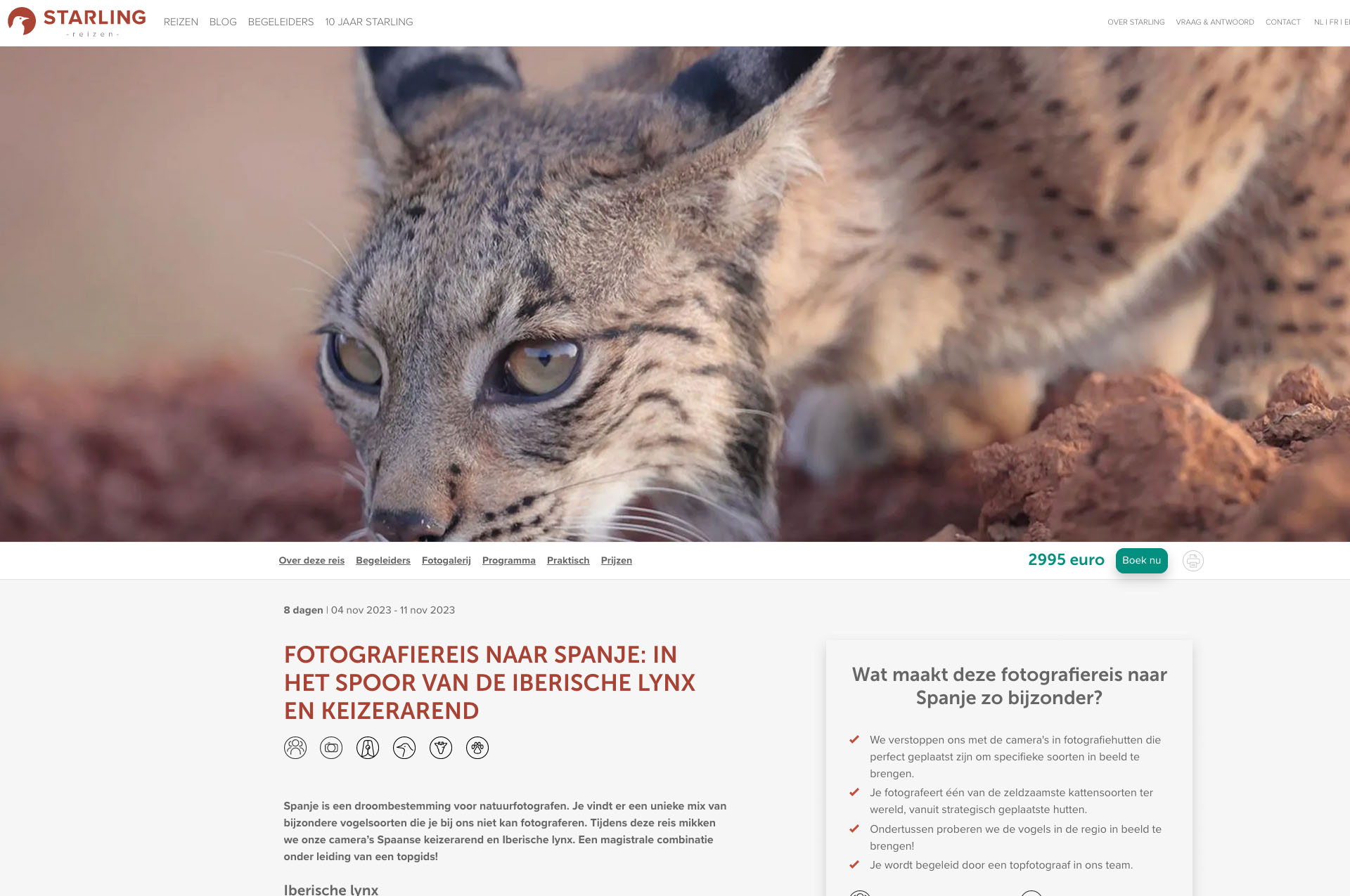 Fotoreis Iberische lynx en keizerarend met Starling reizen onder leiding van Martin van Lokven.