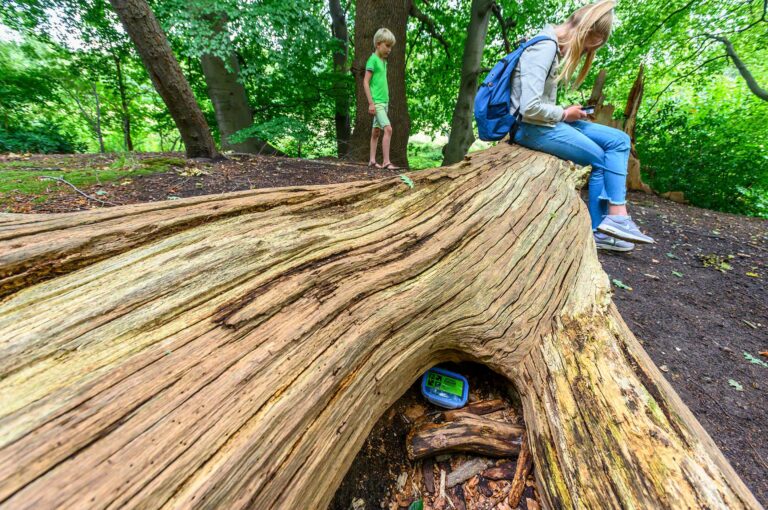 Children trying to find a geocache