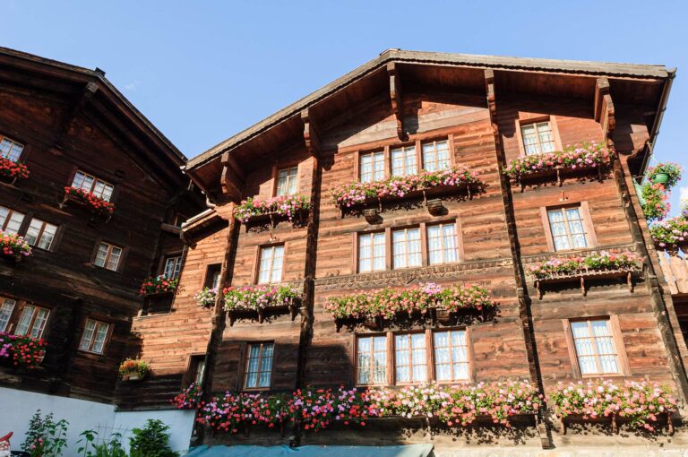 Geraniums on a house