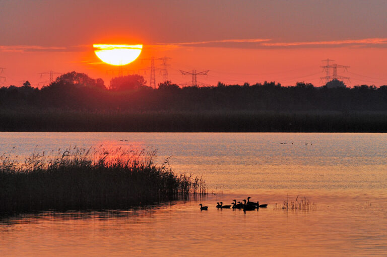 Zonsondergang boven het water van het Naardermeer, met ganzen.