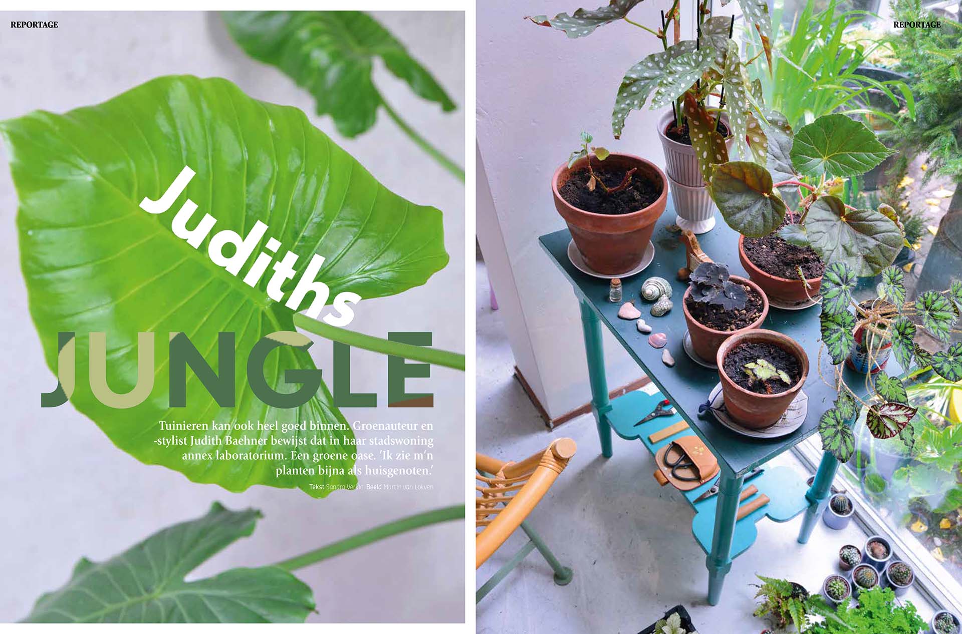 Spread pagina over de kamerplanten van Judith Baehner. In Groei & Bloei magazine.