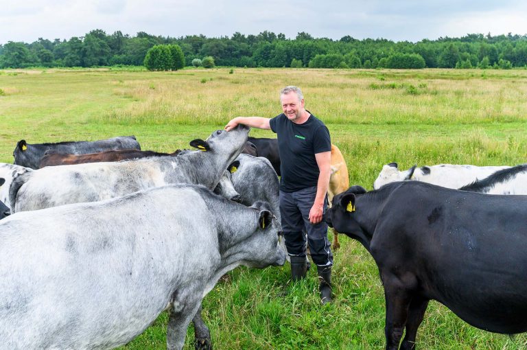 Boer Hans Nieuwenburg with his cattle