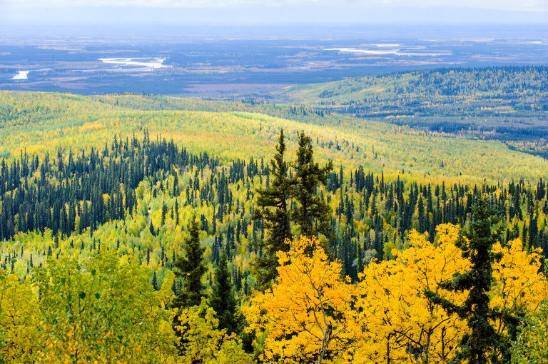 Interior Alaska