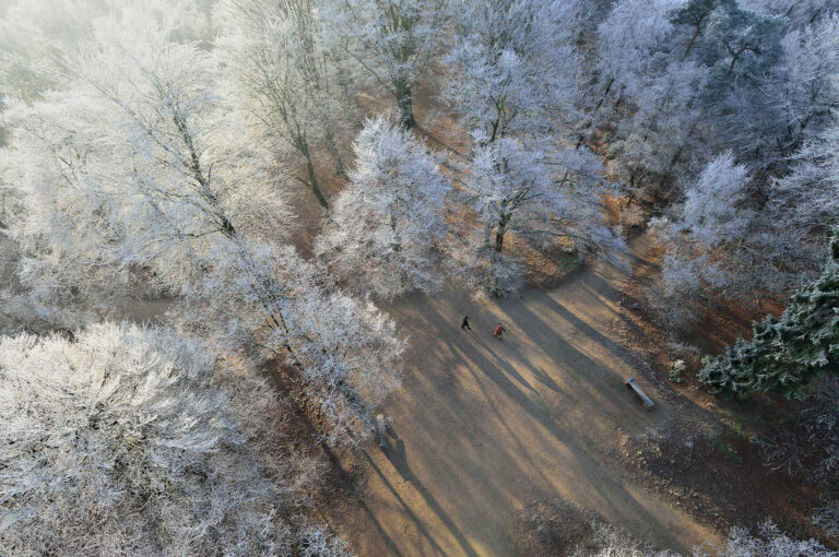 Winter in the forest, from above, from out of a watchtower