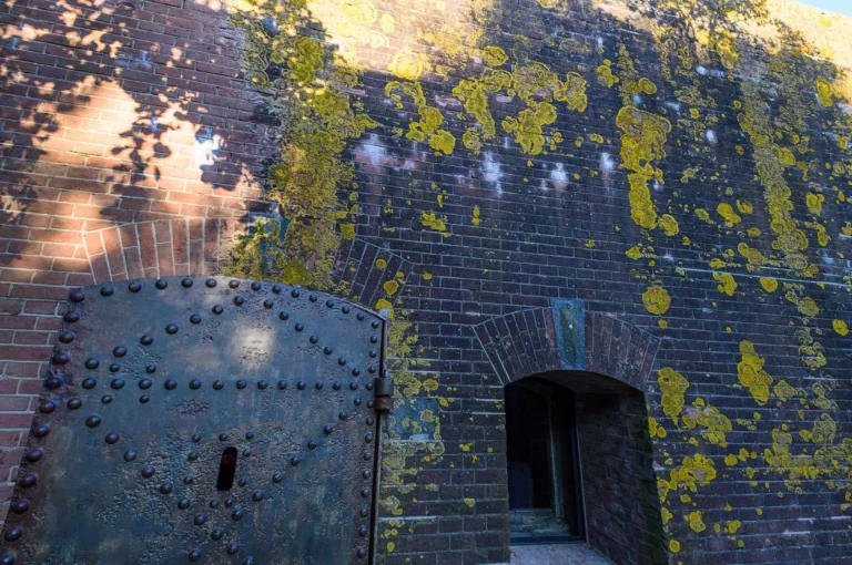 Korstmossen op muur van fort