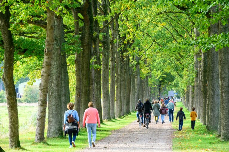 Wandelaars en fiets in beukenlaan