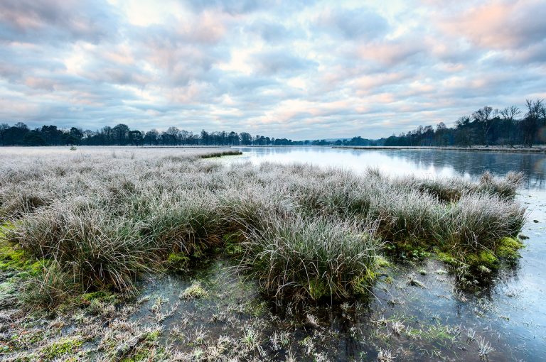 Hoarfrost and frozen fens in winter landscape of Leersumse Veld