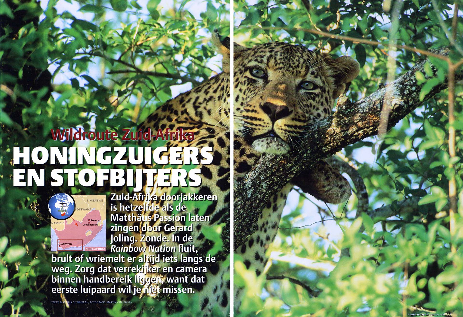 Publicatie van een foto van een luipaard in een boom, in artikel over wild Zuid-Afrika.